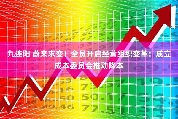 九连阳 蔚来求变！全员开启经营组织变革：成立成本委员会推动降本