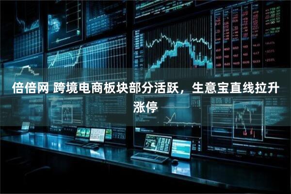 倍倍网 跨境电商板块部分活跃，生意宝直线拉升涨停