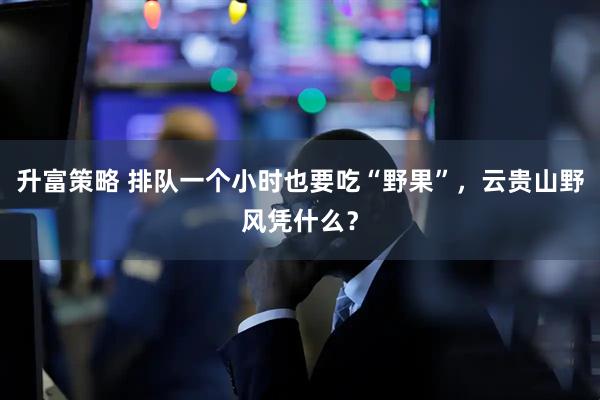 升富策略 排队一个小时也要吃“野果”，云贵山野风凭什么？