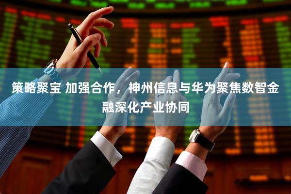 策略聚宝 加强合作，神州信息与华为聚焦数智金融深化产业协同