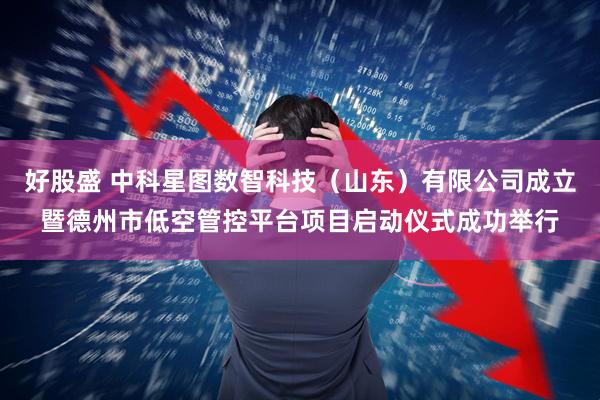 好股盛 中科星图数智科技（山东）有限公司成立暨德州市低空管控平台项目启动仪式成功举行