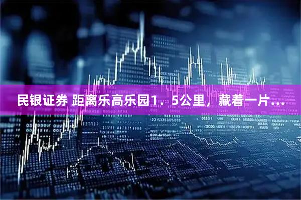 民银证券 距离乐高乐园1．5公里，藏着一片…