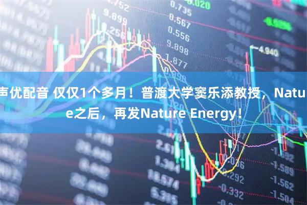 声优配音 仅仅1个多月！普渡大学窦乐添教授，Nature之后，再发Nature Energy！
