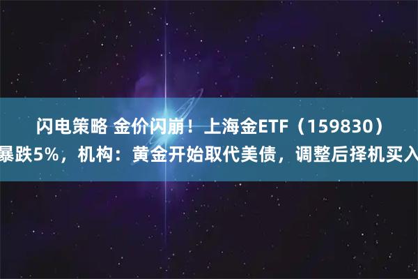 闪电策略 金价闪崩！上海金ETF（159830）暴跌5%，机构：黄金开始取代美债，调整后择机买入
