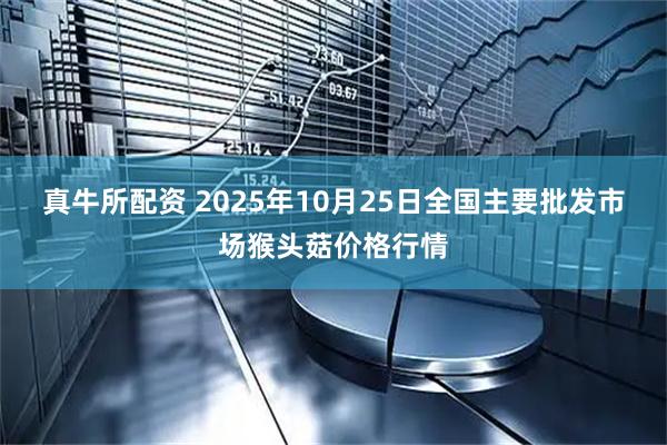 真牛所配资 2025年10月25日全国主要批发市场猴头菇价格行情
