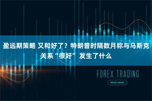 盈远期策略 又和好了？特朗普时隔数月称与马斯克关系“很好” 发生了什么