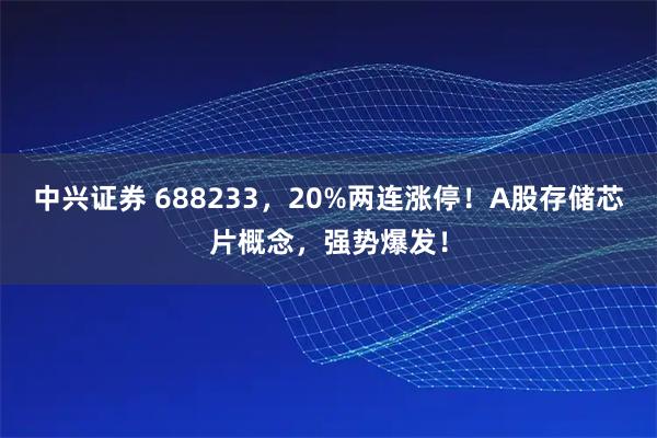 中兴证券 688233,20%两连涨停!A股存储芯片概念,强势爆发!