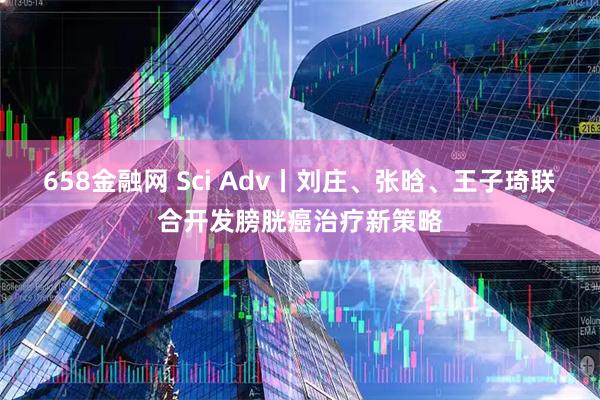 658金融网 Sci Adv丨刘庄、张晗、王子琦联合开发膀胱癌治疗新策略